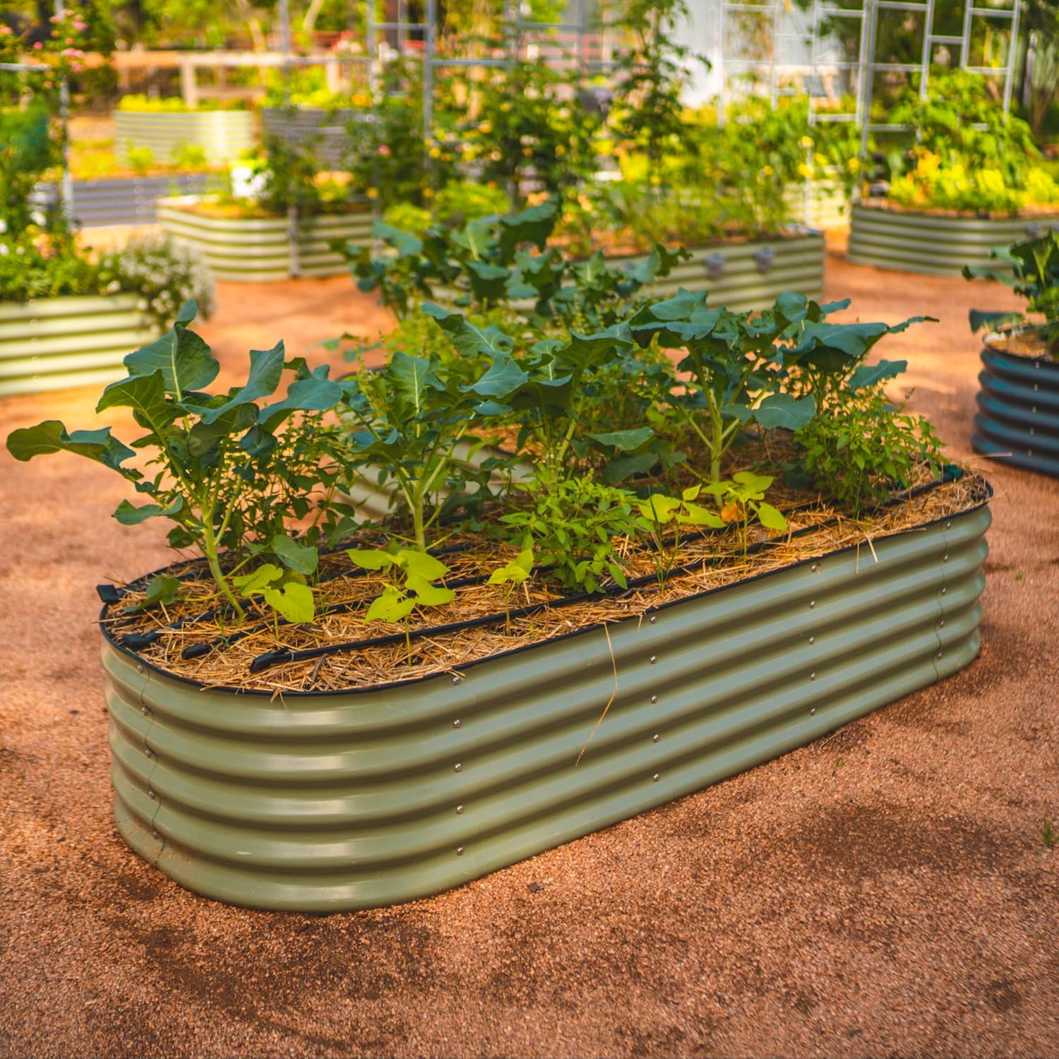 Vego garden Raised Garden Bed Kits, 17" Tall 6 in 1 Modular Metal Raised Planter Bed for Vegetables Flowers Patio Ground Planter Box-Olive Green - Image 9