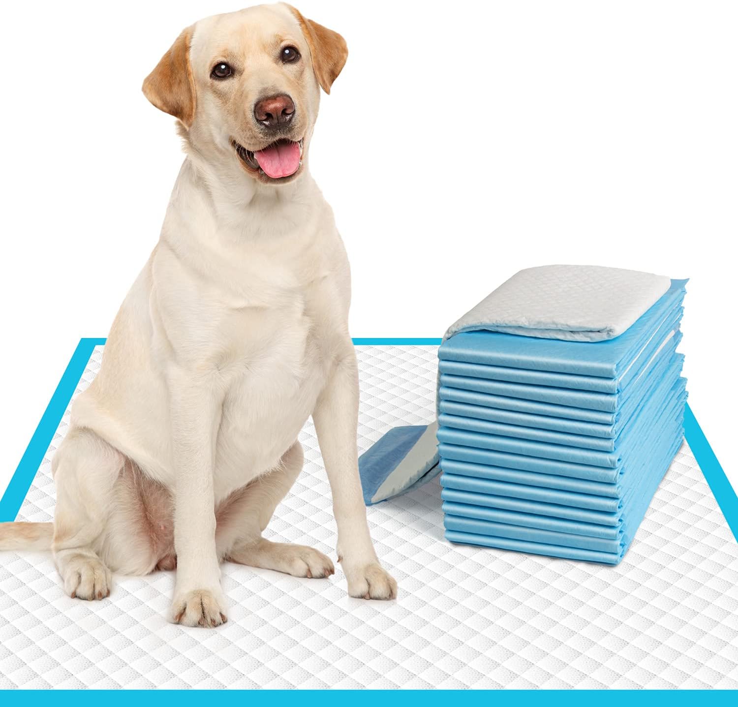 IMMCUTE Large Dog Pee Pads 28"x30"-50 Count | Large Puppy Pee Training Pads Super Absorbent & Leak-Proof | Disposable Pet Piddle and Potty Pads for Puppies | Dogs | Doggie